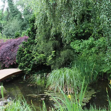 Lorenz' Gartentraum - Emsland Lejlighed *